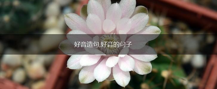 好音造句,好音的句子,第1张