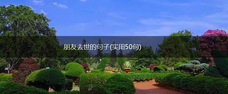 朋友去世的句子(实用50句),第1张
