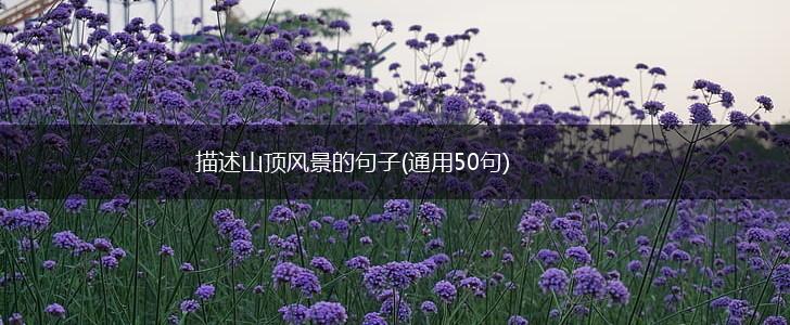 描述山顶风景的句子(通用50句),第1张