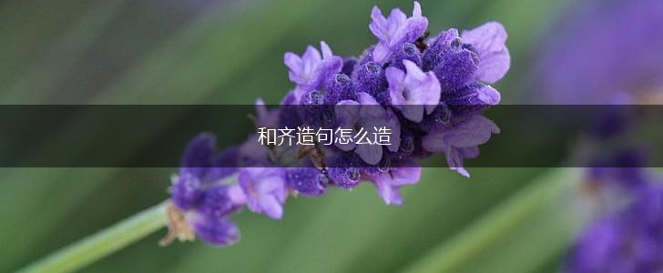 和齐造句怎么造,第1张