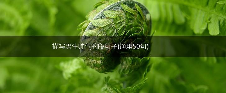 描写男生帅气的段句子(通用50句),第1张
