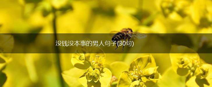 没钱没本事的男人句子(30句),第1张