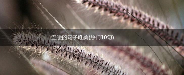 温暖的句子唯美(热门10句),第1张