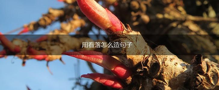 用看落怎么造句子,第1张