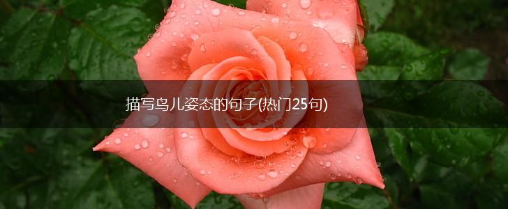 描写鸟儿姿态的句子(热门25句),第1张