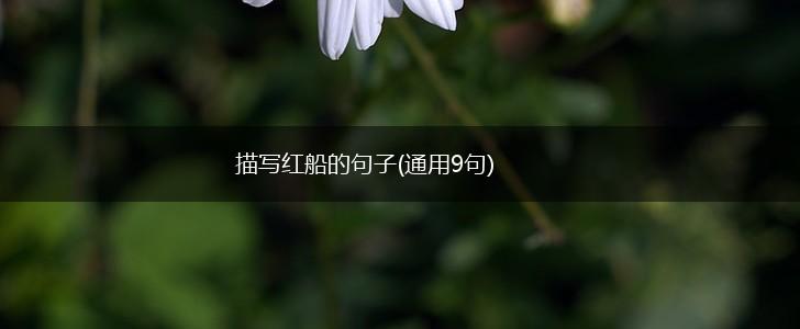 描写红船的句子(通用9句),第1张
