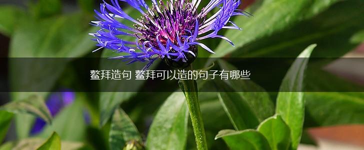 鳌拜造句 鳌拜可以造的句子有哪些,第1张