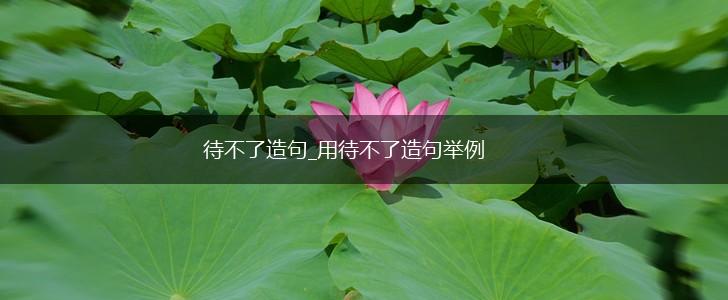 待不了造句_用待不了造句举例,第1张