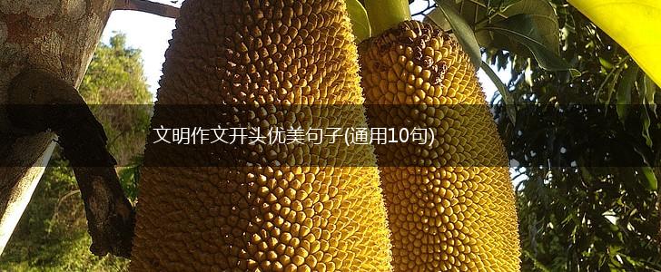 文明作文开头优美句子(通用10句),第1张