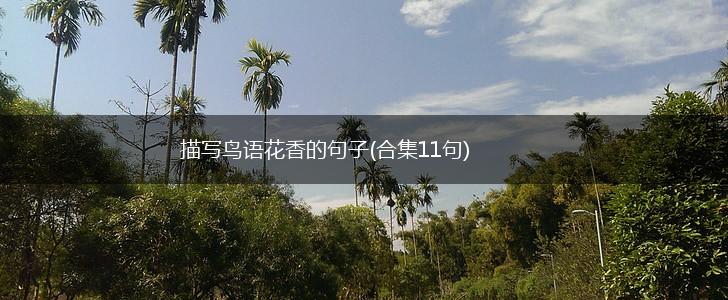 描写鸟语花香的句子(合集11句),第1张