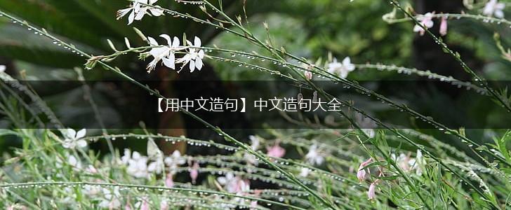 【用中文造句】中文造句大全,第1张