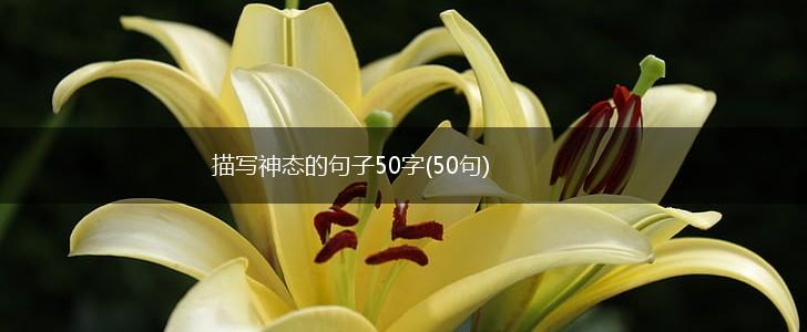 描写神态的句子50字(50句),第1张