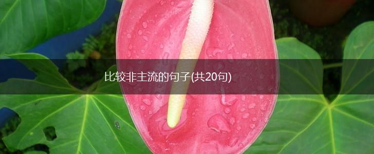 比较非主流的句子(共20句),第1张