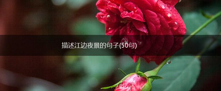 描述江边夜景的句子(50句),第1张