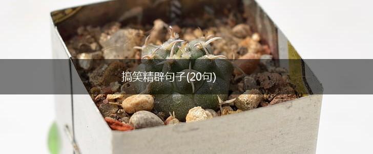 搞笑精辟句子(20句),第1张