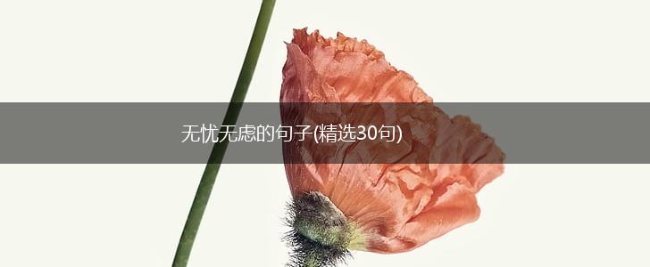 无忧无虑的句子(精选30句),第1张
