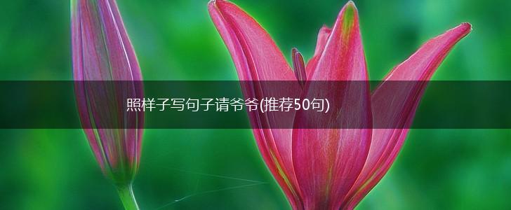 照样子写句子请爷爷(推荐50句),第1张