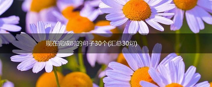 现在完成时的句子30个(汇总30句),第1张