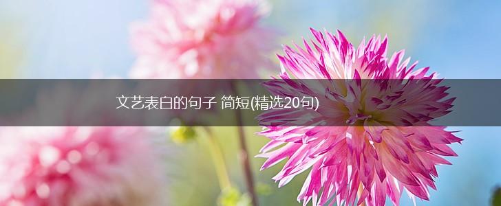 文艺表白的句子 简短(精选20句),第1张