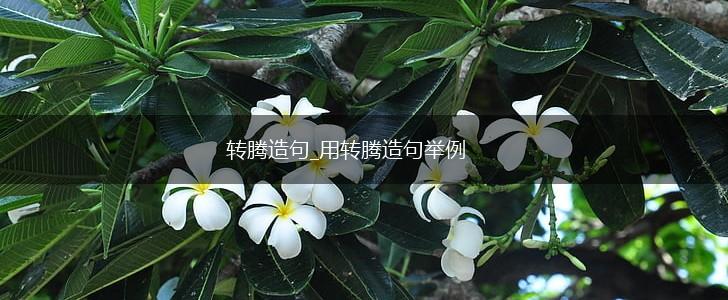 转腾造句_用转腾造句举例,第1张