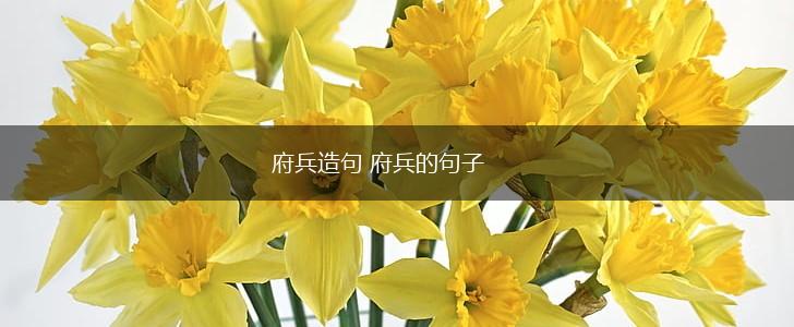 府兵造句 府兵的句子,第1张