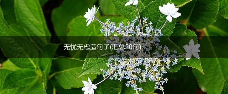 无忧无虑造句子(汇总20句),第1张