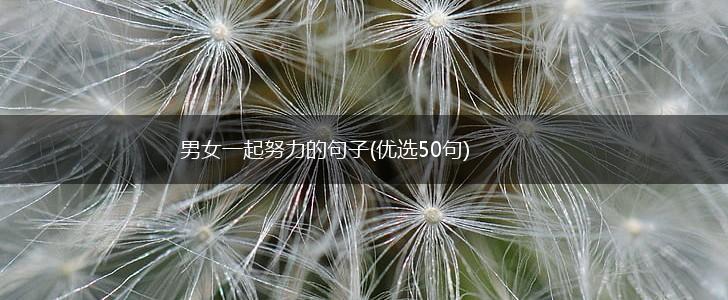 男女一起努力的句子(优选50句),第1张