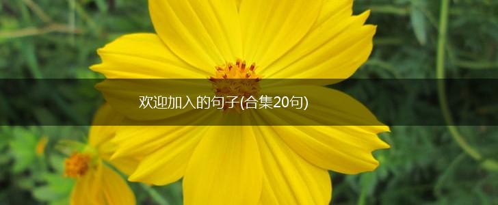 欢迎加入的句子(合集20句),第1张