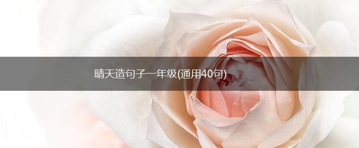 晴天造句子一年级(通用40句),第1张