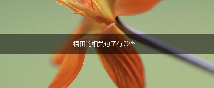福田的相关句子有哪些,第1张