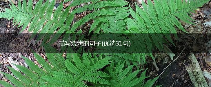 描写烧烤的句子(优选31句),第1张
