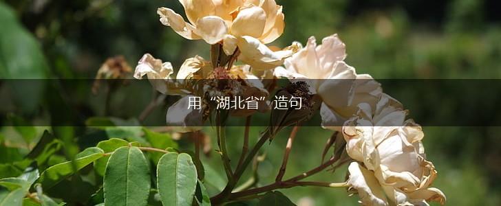 用“湖北省”造句,第1张
