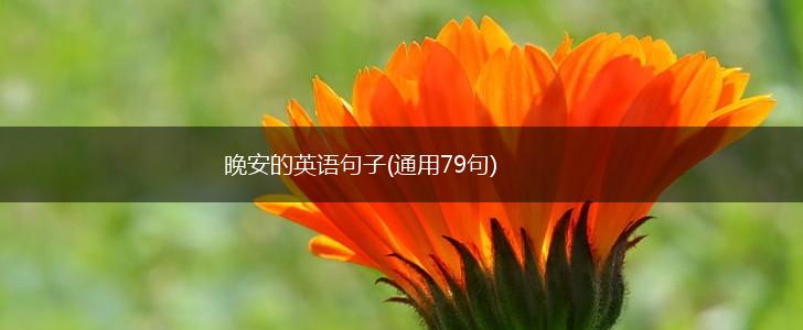 晚安的英语句子(通用79句),第1张