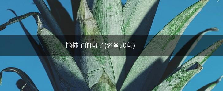 摘柿子的句子(必备50句),第1张