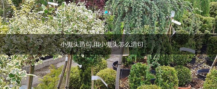 小鬼头造句,用小鬼头怎么造句,第1张