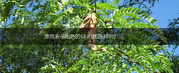 漂亮表示出色的句子(优选30句),第1张