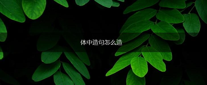 体中造句怎么造,第1张