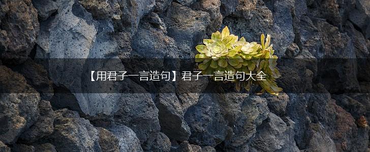 【用君子一言造句】君子一言造句大全,第1张