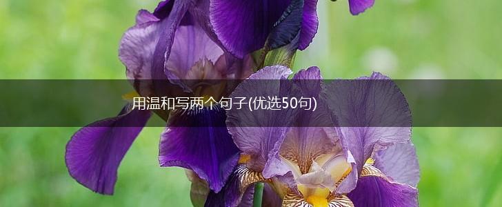 用温和写两个句子(优选50句),第1张