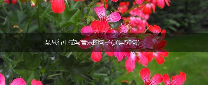 琵琶行中描写音乐的句子(通用50句),第1张