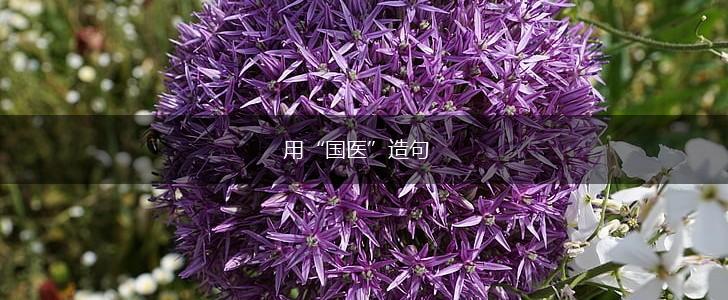 用“国医”造句,第1张
