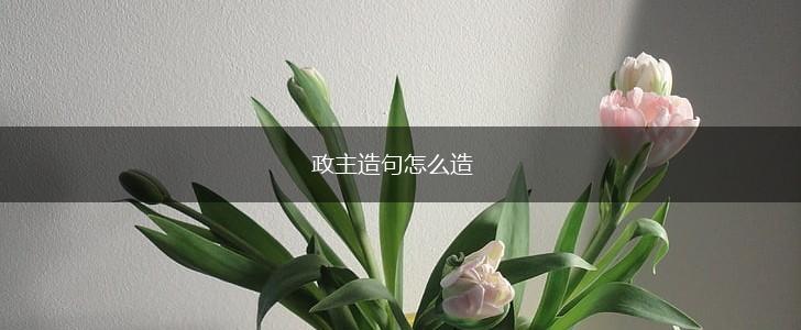 政主造句怎么造,第1张