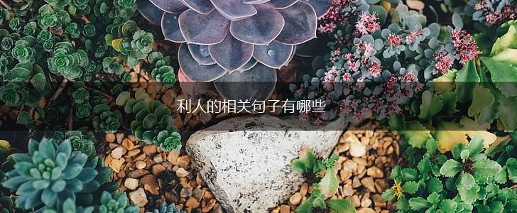 利人的相关句子有哪些,第1张