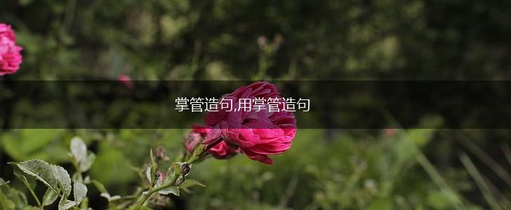掌管造句,用掌管造句,第1张