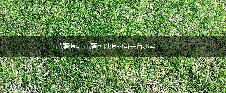 苗疆造句 苗疆可以造的句子有哪些,第1张