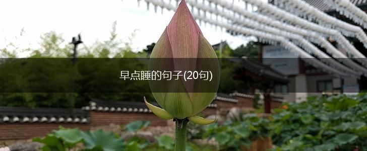 早点睡的句子(20句),第1张