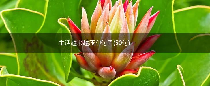 生活越来越压抑句子(50句),第1张