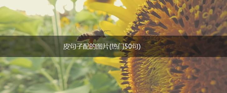 皮句子配的图片(热门50句),第1张