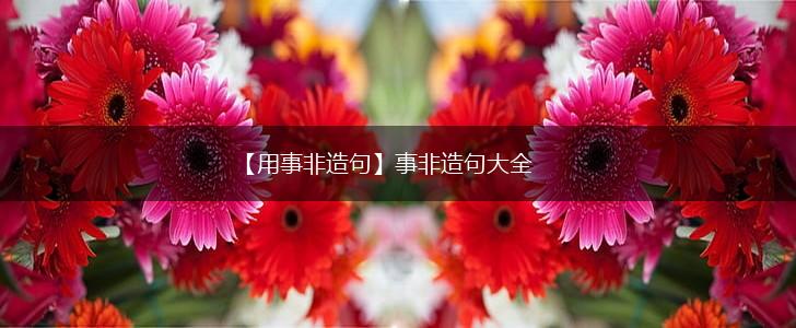 【用事非造句】事非造句大全,第1张