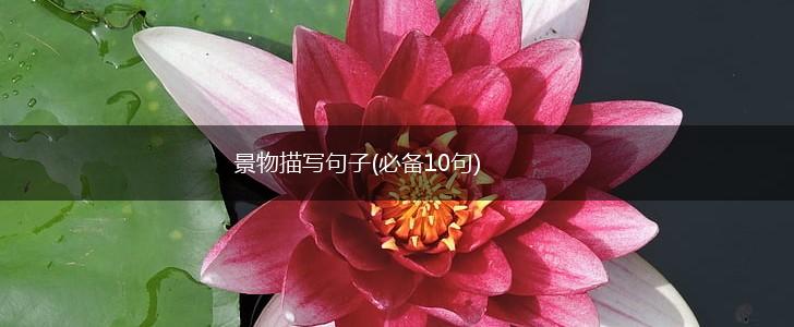 景物描写句子(必备10句),第1张